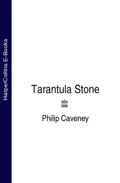 Philip Caveney The Tarantula Stone обложка книги
