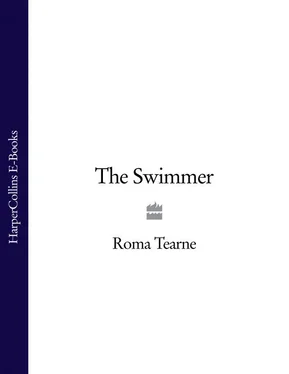 Roma Tearne The Swimmer обложка книги