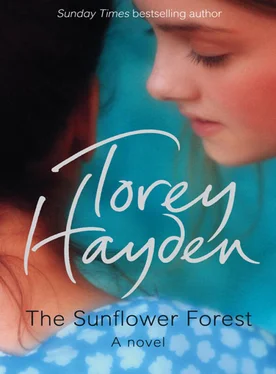 Torey Hayden The Sunflower Forest обложка книги