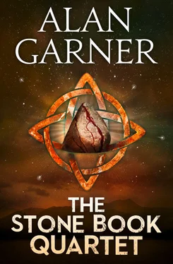 Alan Garner The Stone Book Quartet обложка книги