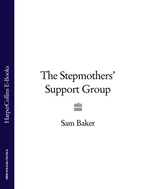 Sam Baker The Stepmothers’ Support Group обложка книги