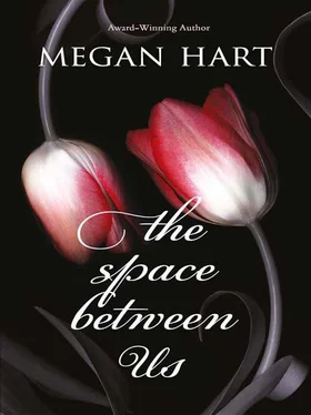 Megan Hart The Space Between Us обложка книги