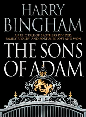 Harry Bingham The Sons of Adam обложка книги
