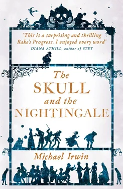 Michael Irwin The Skull and the Nightingale обложка книги