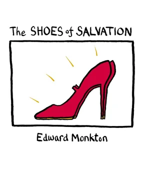 Edward Monkton The Shoes of Salvation обложка книги