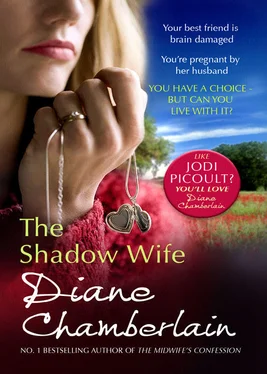 Diane Chamberlain The Shadow Wife обложка книги