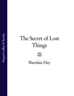 Sheridan Hay The Secret of Lost Things обложка книги
