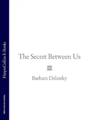 Barbara Delinsky - The Secret Between Us