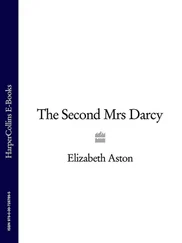 Elizabeth Aston - The Second Mrs Darcy