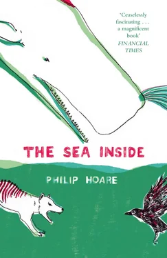 Philip Hoare The Sea Inside обложка книги