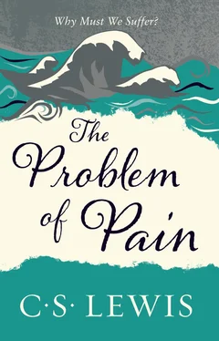 C. Lewis The Problem of Pain обложка книги