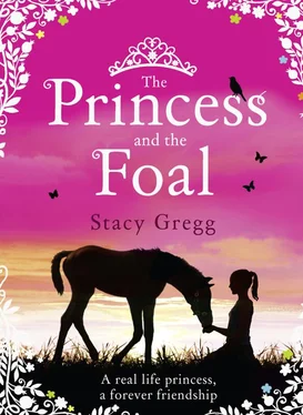 Stacy Gregg The Princess and the Foal обложка книги