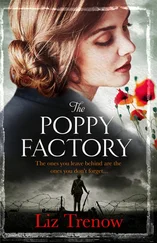 Liz Trenow - The Poppy Factory