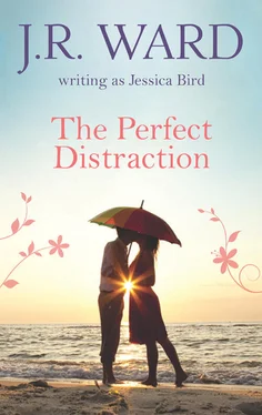 Jessica Bird The Perfect Distraction обложка книги