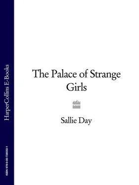 Sallie Day The Palace of Strange Girls обложка книги