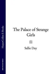 Sallie Day - The Palace of Strange Girls