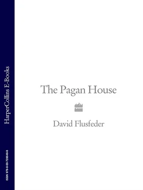 David Flusfeder The Pagan House обложка книги