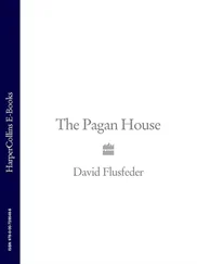 David Flusfeder - The Pagan House
