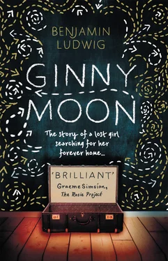 Benjamin Ludwig The Original Ginny Moon обложка книги