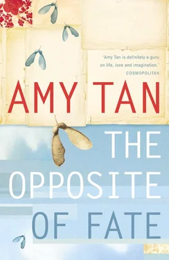 Amy Tan The Opposite of Fate обложка книги