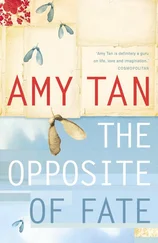 Amy Tan - The Opposite of Fate