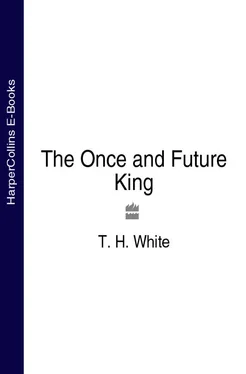 T. White The Once and Future King обложка книги