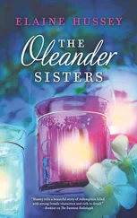 Elaine Hussey - The Oleander Sisters