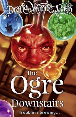 Diana Jones The Ogre Downstairs обложка книги