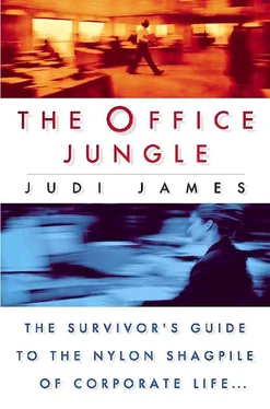 Judi James The Office Jungle обложка книги