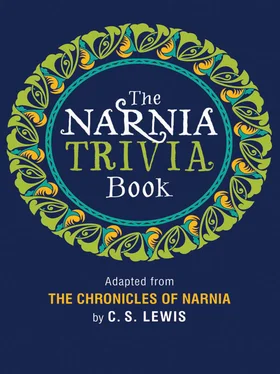 Collective work The Narnia Trivia Book обложка книги