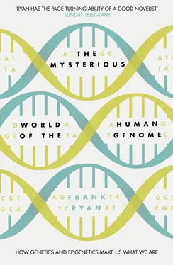 Frank Ryan The Mysterious World of the Human Genome обложка книги