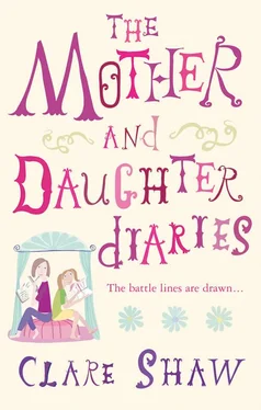 Clare Shaw The Mother And Daughter Diaries обложка книги