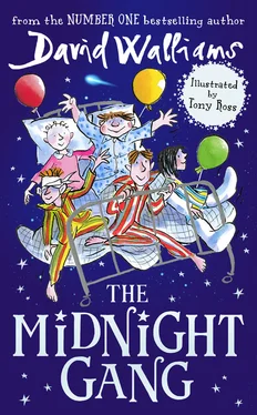 David Walliams The Midnight Gang обложка книги