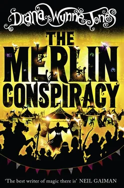 Diana Jones The Merlin Conspiracy обложка книги