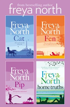 Freya North The McCabe Girls Complete Collection: Cat, Fen, Pip, Home Truths обложка книги
