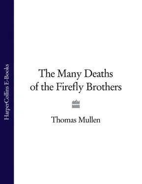 Thomas Mullen The Many Deaths of the Firefly Brothers обложка книги