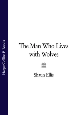 Shaun Ellis The Man Who Lives with Wolves обложка книги