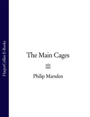 Philip Marsden The Main Cages обложка книги