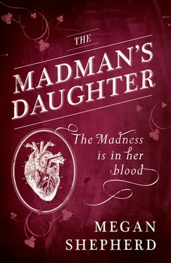 Megan Shepherd The Madman’s Daughter обложка книги