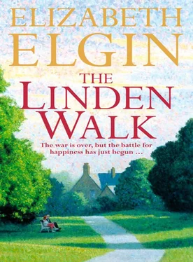 Elizabeth Elgin The Linden Walk обложка книги