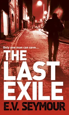 E.V. Seymour The Last Exile обложка книги