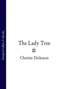 Christie Dickason The Lady Tree обложка книги
