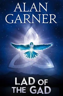 Alan Garner The Lad Of The Gad обложка книги