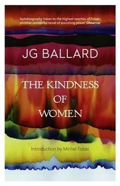 J. Ballard The Kindness of Women обложка книги