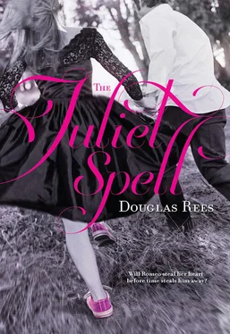 Douglas Rees The Juliet Spell обложка книги