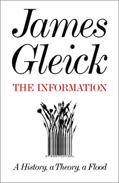 James Gleick The Information: A History, a Theory, a Flood обложка книги