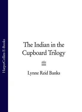 Lynne Banks The Indian in the Cupboard Trilogy обложка книги