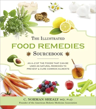 Norman Shealy The Illustrated Food Remedies Sourcebook обложка книги