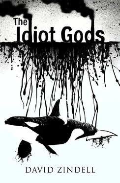 David Zindell The Idiot Gods обложка книги