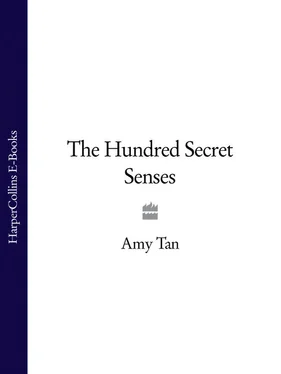 Amy Tan The Hundred Secret Senses обложка книги